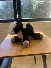 Adopt a Mustang (LifeLine)