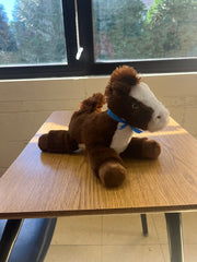 Adopt a Mustang (LifeLine)